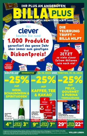 Billa - Flugblatt plus