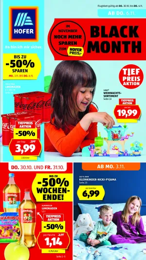 Hofer - Flugblatt KW 45 2025